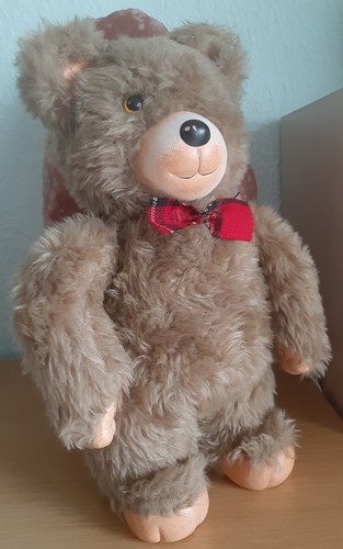 Origineller bär körper aus - bär-,